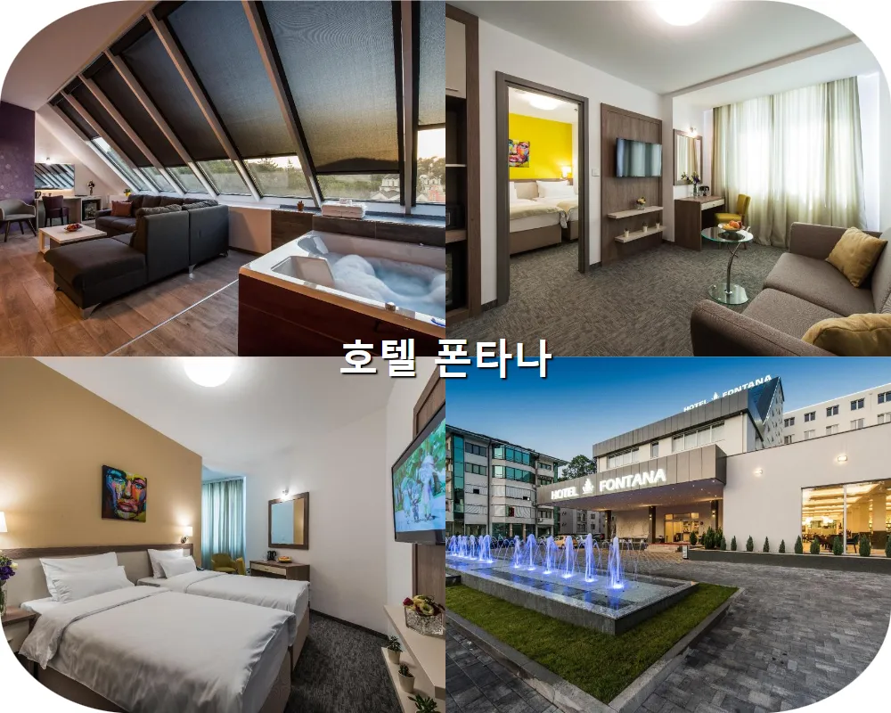 호텔사진2 세르비아-브린약카 반야-호텔 폰타나